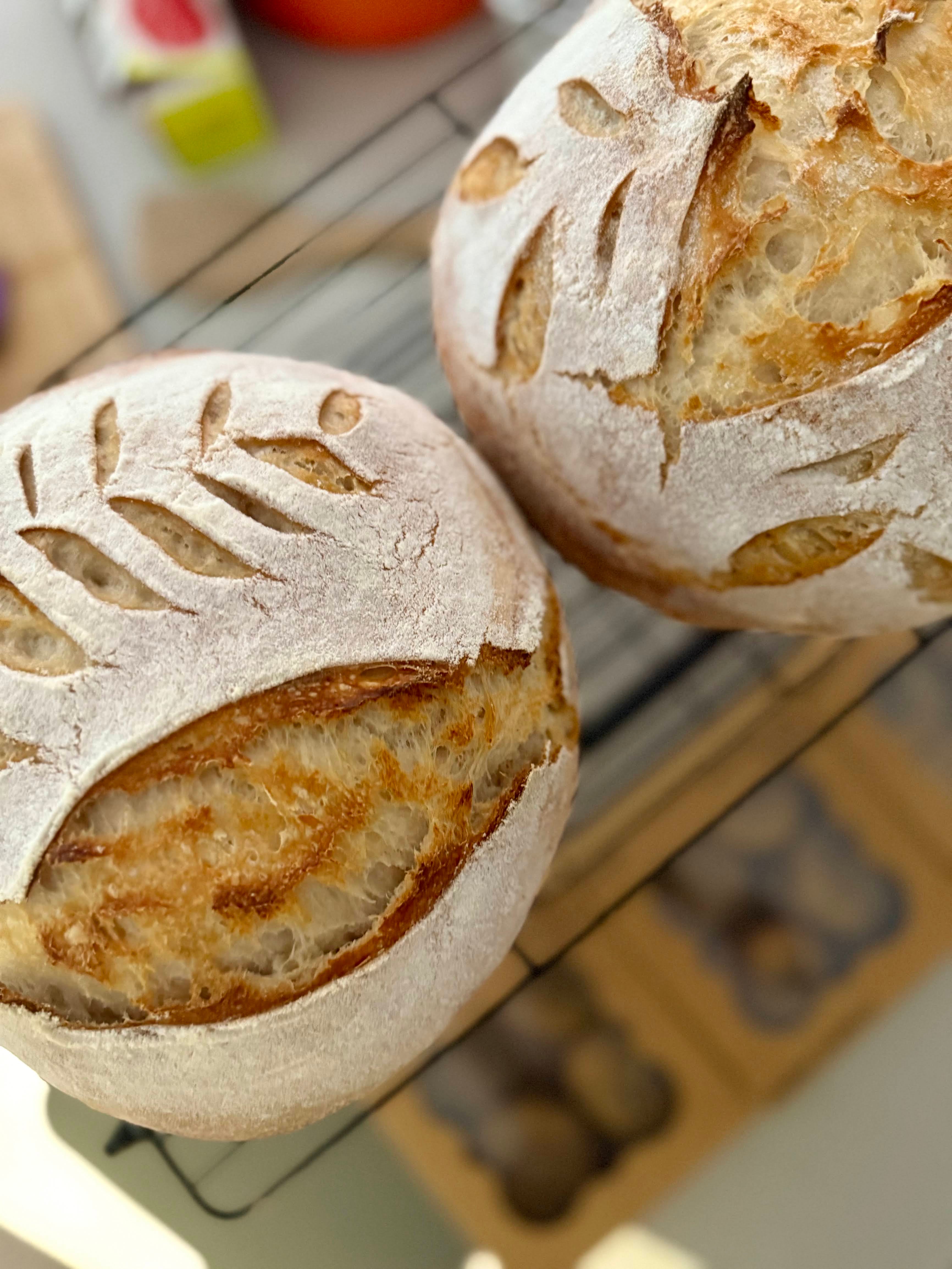 Classic Sourdough Boule