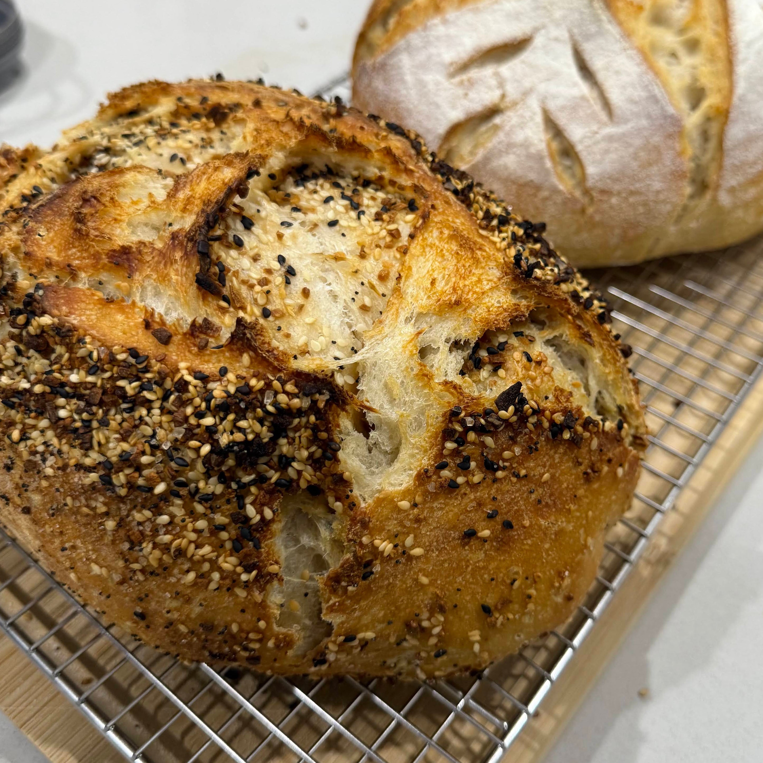 Everything Bagel Sourdough Boule